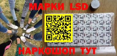 шишки Обь