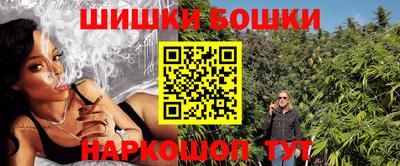 шишки Обь