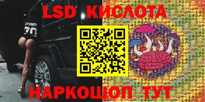 шишки Обь