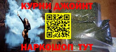 шишки Обь