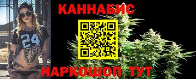 шишки Обь