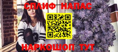 тгк Обнинск