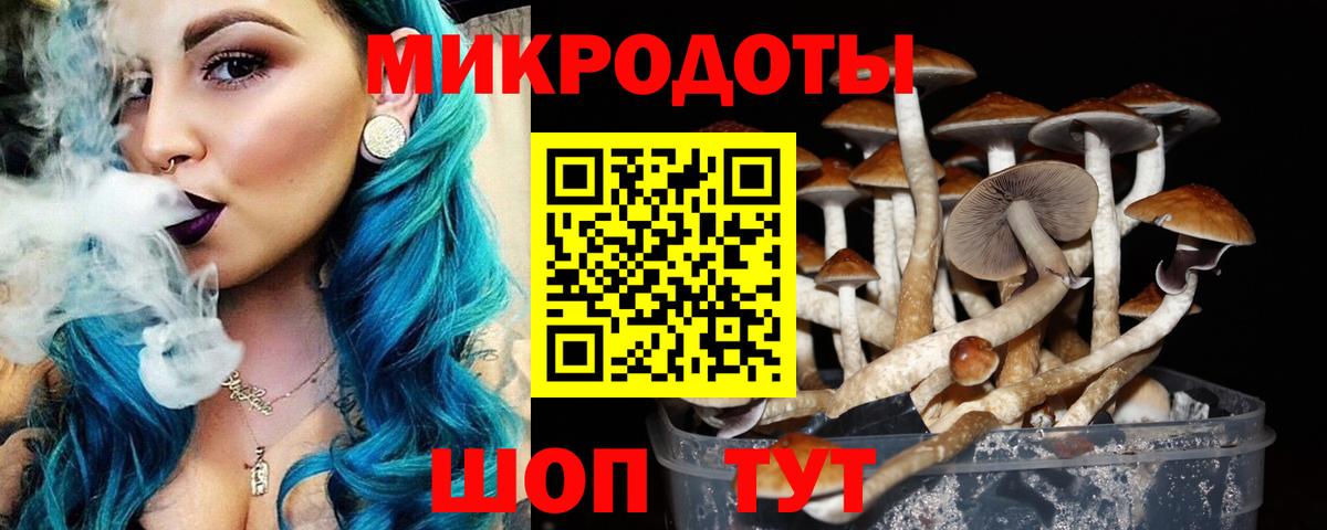 Среднеуральск  Псилоцибиновые грибы Psilocybine cubensis  Вход с VPN 